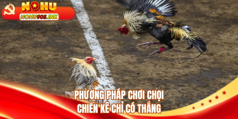 Phương pháp chơi chọi chiến kê chỉ có thắng
